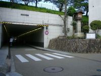 ���ÒǕ���