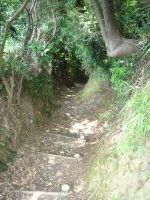 �F�x������