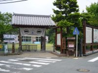 ��{�w��