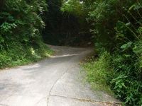 ��̋Ȃ����