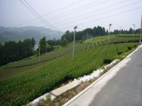 �؍�Ɠ�̋Ȃ���Ԃ̕��i