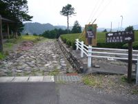 �e���Ώ�����