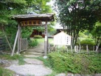 ���J���������̐Ώ�����