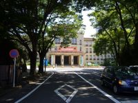 �É�����