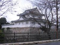 ������쑤