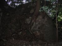 �n�̐����ݔ�