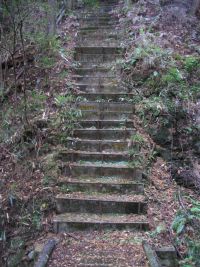 �����C���K�i