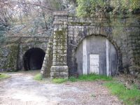 ������R������