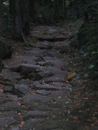 �����Ώ�i�����̓���j